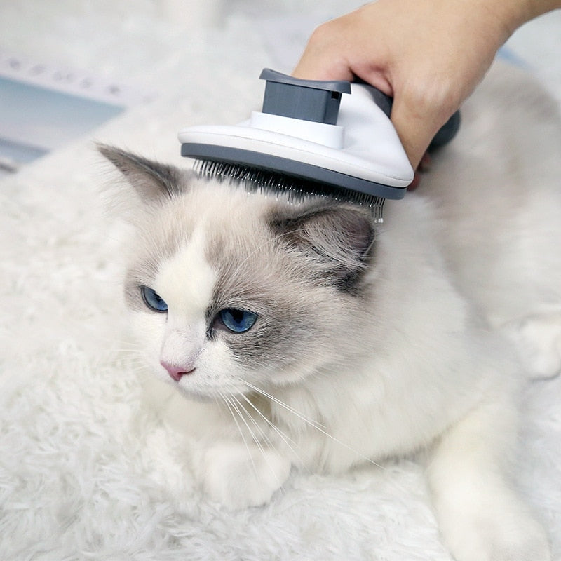 HairMaster Bürste